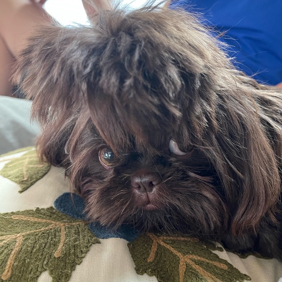 Meet your Posher, Jacksyn - Picture 15 of 16